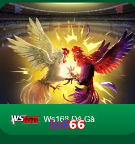 lo666